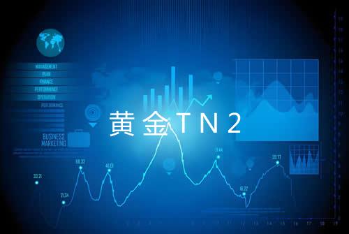 黄金TN2