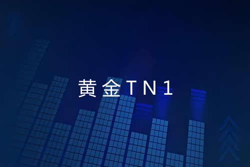 黄金TN1