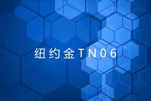 纽约金TN06