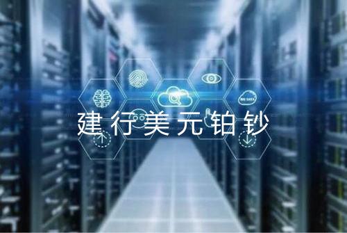 建行美元铂钞