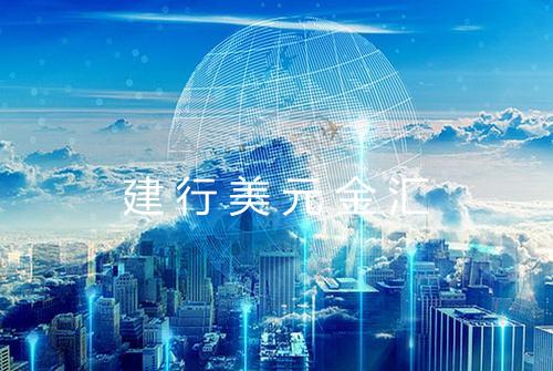建行美元金汇