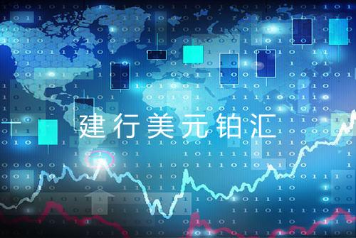 建行美元铂汇