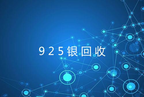925银回收